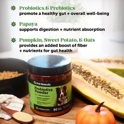 Image showing  Probiotic Gi Powder (Dog) - Pumpkin (90 Sc Jar)