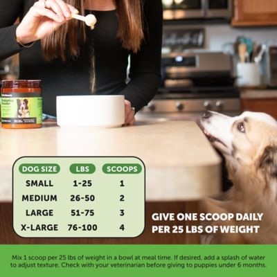 Image showing 6 th Pet Honesty Probiotic Gi Powder (Dog) - Pumpkin (90 Sc Jar)