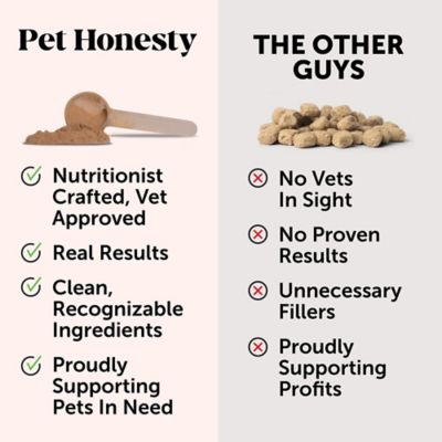 Image showing 8 th Pet Honesty Probiotic Gi Powder (Dog) - Pumpkin (90 Sc Jar)