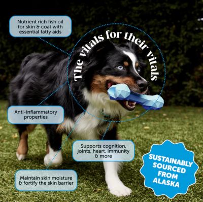 Image showing 7 th Pet Honesty Omega-3 Fish Oil (Cat/Dog) - (16 fl.oz. Bottle)