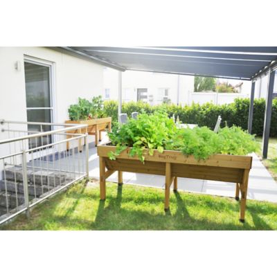 Image showing 6 th VegTrug Wooden Raised Bed Planter Medium Classic, VTNMD0367USA
