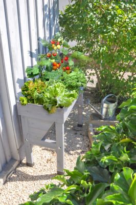 Image showing  Wooden Raised Bed Planter Small Wall Hugger, VTWHSGW0391USA