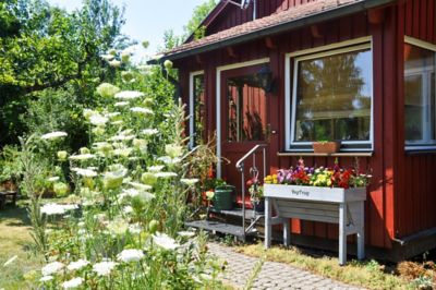 Image showing  Wooden Raised Bed Planter Small Wall Hugger, VTWHSGW0391USA