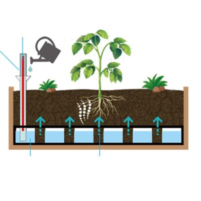 Image showing 7 th VegTrug Medium Classic Self-Watering Kit