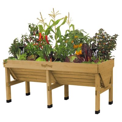 Image showing 8 th VegTrug Medium Classic Self-Watering Kit