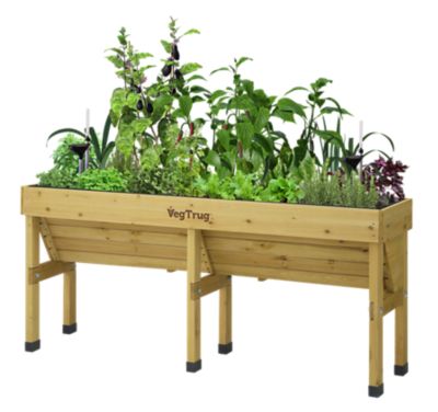 Image showing  Medium Wall Hugger Self-Watering Kit