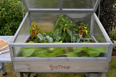 Image showing  Small Cold Frame Gray Wash