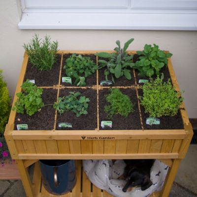 Image showing 6 th VegTrug Wooden Raised Bed Planter Herb Garden, RHP6002NUSA