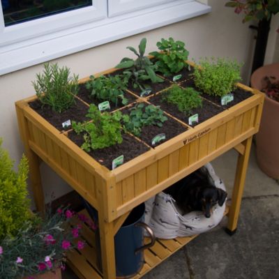 Image showing 7 th VegTrug Wooden Raised Bed Planter Herb Garden, RHP6002NUSA