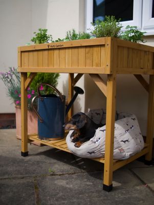 Image showing  Wooden Raised Bed Planter Herb Garden