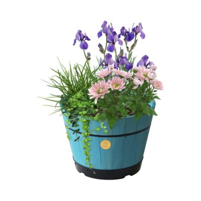 VegTrug Medium Build a Barrel, Blue