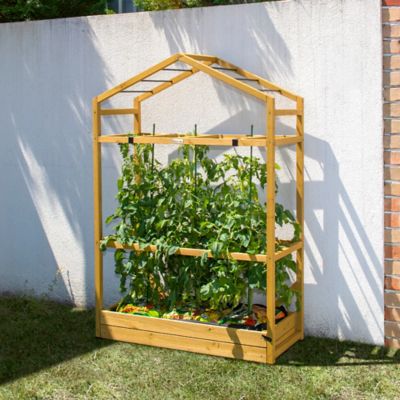 Image showing  Tomato Greenhouse, Natural