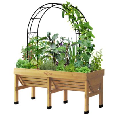 Image showing  Climbing Arch Black, MSQA180BKUSA