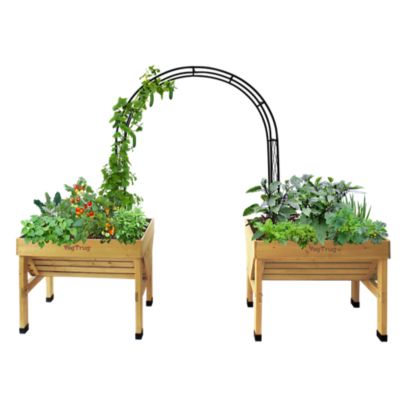 Image showing  Climbing Arch Black, MSQA180BKUSA