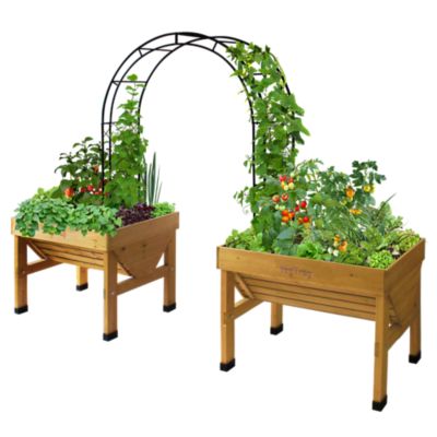 Image showing  Climbing Arch Black, MSQA180BKUSA