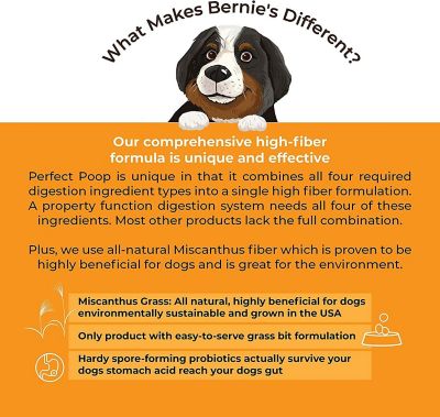 Image showing 5 th Bernie's Perfect Poop Digestion Dog Supplement, Cheese Flavor, 12.8 oz. Bag