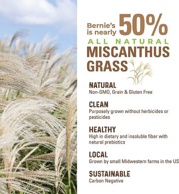 Image showing 6 th Bernie's Perfect Poop Digestion Dog Supplement, Cheese Flavor, 12.8 oz. Bag