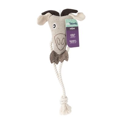 Image showing  Cotton and Rope Plush Dog Toy, Assorted