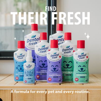 Image showing 6 th Dental Fresh Original Formula for Dogs, 4 oz.