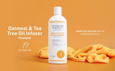 Image showing  Oatmeal & Tea Tree Oil Infuser Shampoo, 16 oz.