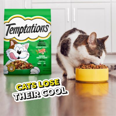 Image showing 6 th Temptations Adult Indoor/Outdoor Seafood Medley Recipe Dry Cat Food