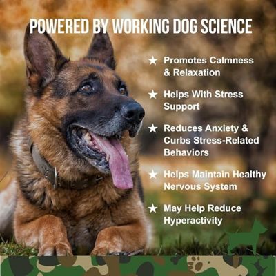 Image showing  Calming Supplement for Dogs, 90 ct. Jar