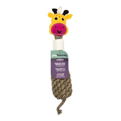Image showing  Bottle Choy Natural Bone Dog Toy, Assorted