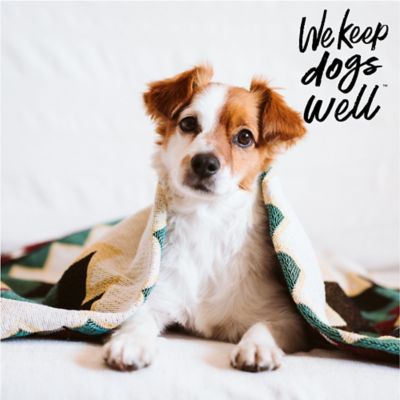 Image showing  Pet First Aid Liquid Bandage, 4 oz.