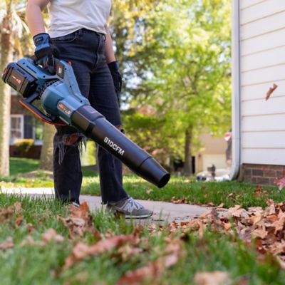 Image showing  170 MPH/810 CFM 60V Max Cordless Handheld Leaf Blower, Battery and Charger Included