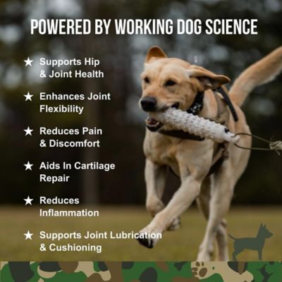 Image showing  Hip & Joint Supplement for Dogs, 90 ct. Jar
