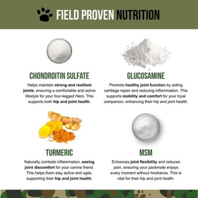 Image showing  Hip & Joint Supplement for Dogs, 90 ct. Jar