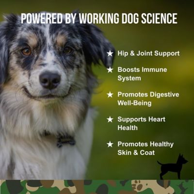 Image showing  Multi-Functional Supplement for Dogs, 90 ct. Jar
