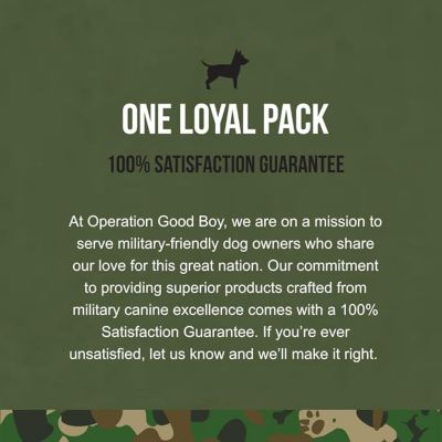 Image showing 5 th Operation Good Boy Skin Health & Allergy Supplement for Dogs, 90 ct. Jar