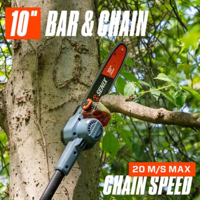 Image showing  10 in. 60V Max Cordless Pole Saw, Battery and Charger Included