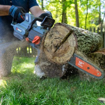 Image showing  18 in. 60V Max Cordless Chainsaw, Battery and Charger Included