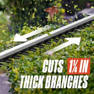 Image showing  26 in. 60V Max Cordless Hedge Trimmer, Battery and Charger Included
