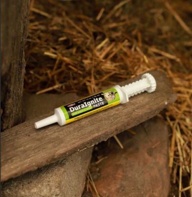 Image showing  DuraIgnite Sheep & Goat, 30mL