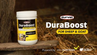 Image showing  DuraBoost Sheep & Goat, 1 lb.