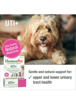 Image showing  UTI Plus OTC Medicine