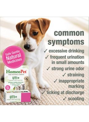 Image showing  UTI Plus OTC Medicine