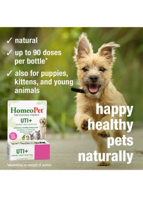 Image showing 5 th HomeoPet UTI Plus OTC Medicine