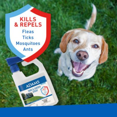 Image showing  Yard & Garden Spray - 4/32 oz.