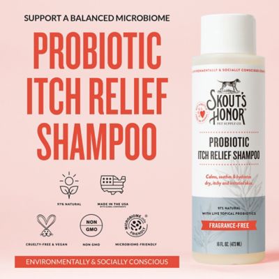 Image showing  Probiotic Itch Relief Shampoo, 16 oz.