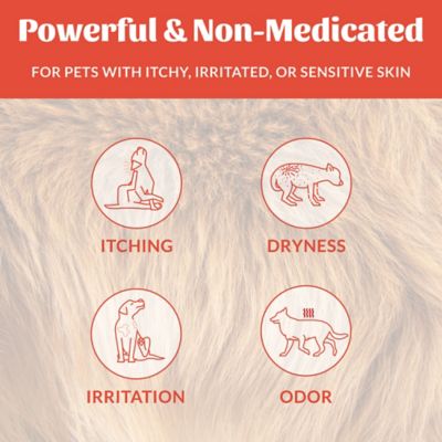 Image showing  Probiotic Itch Relief Shampoo, 16 oz.