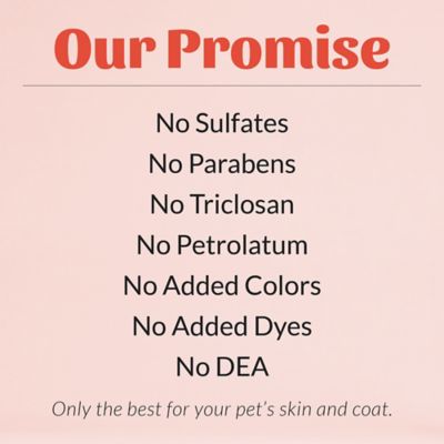 Image showing 6 th Skout's Honor Probiotic Itch Relief Shampoo, 16 oz.