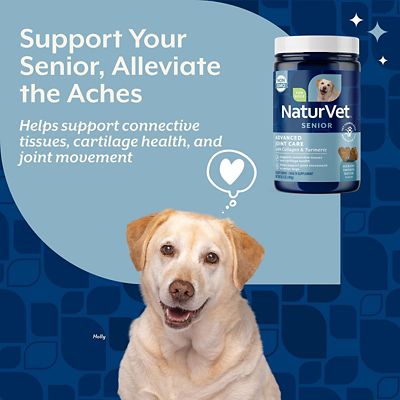 Image showing  Senior Advanced Joint Health Supplement Soft Chews for Dogs