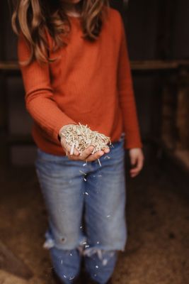 Image showing  Horse Stall Premium Hemp Bedding, 5 cu. ft.