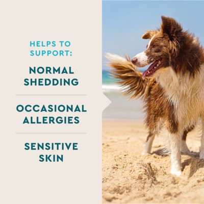 Image showing 6 th VetIQ Skin & Coat Supplement for Dogs, Hickory Smoke Flavored Soft Chew