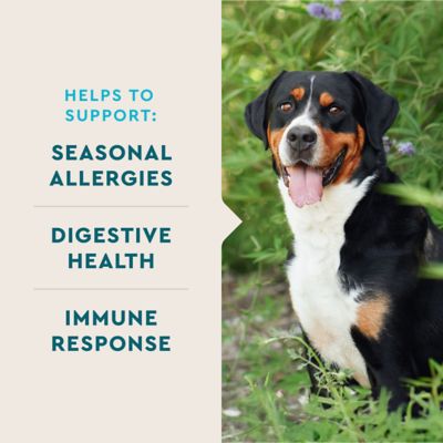 Image showing  Allergy Pro Supplement for Dogs, Hickory Smoke Flavored Soft Chew