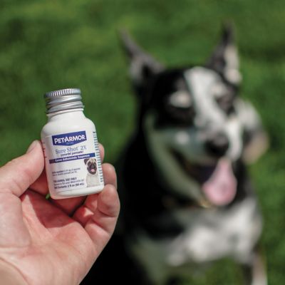 Image showing  Sure Shot Liquid Dewormer Dog, 2 oz.